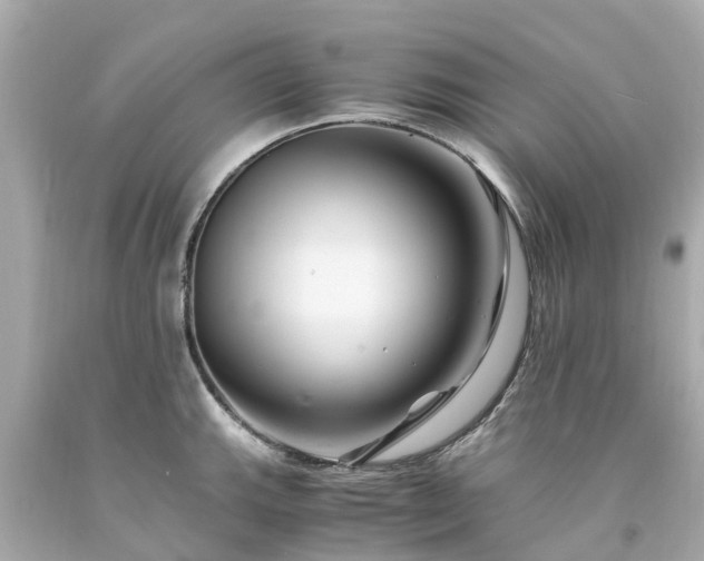 X0000094181143200711020959