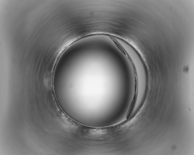 X0000094181145200711020959
