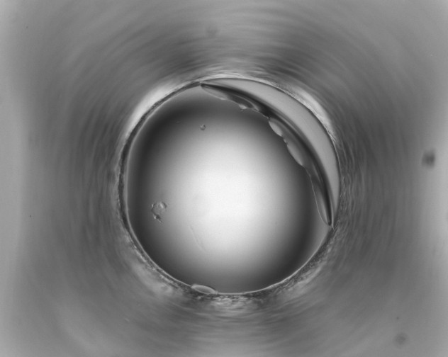 X0000094181146200711020959