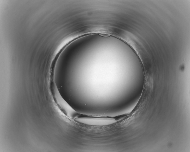 X0000094181147200711020959