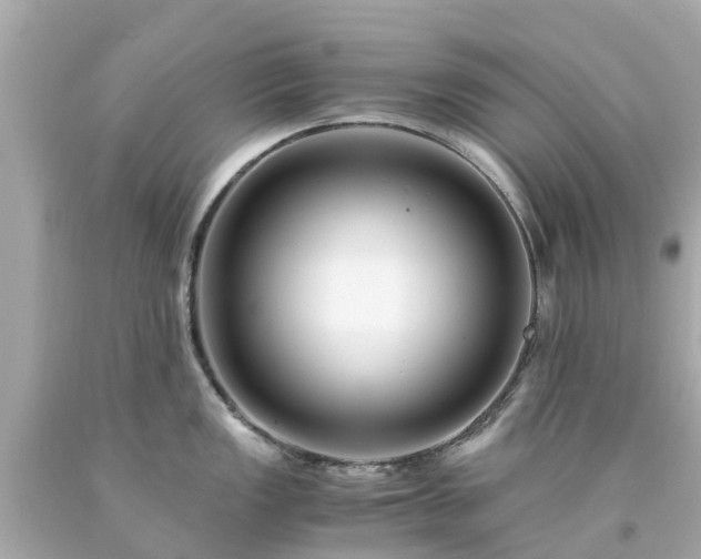 X0000094181149200711020959