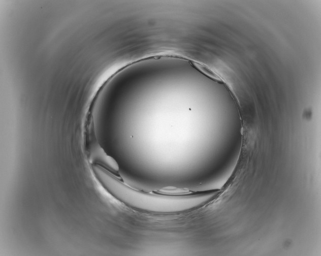 X0000094181151200711020959