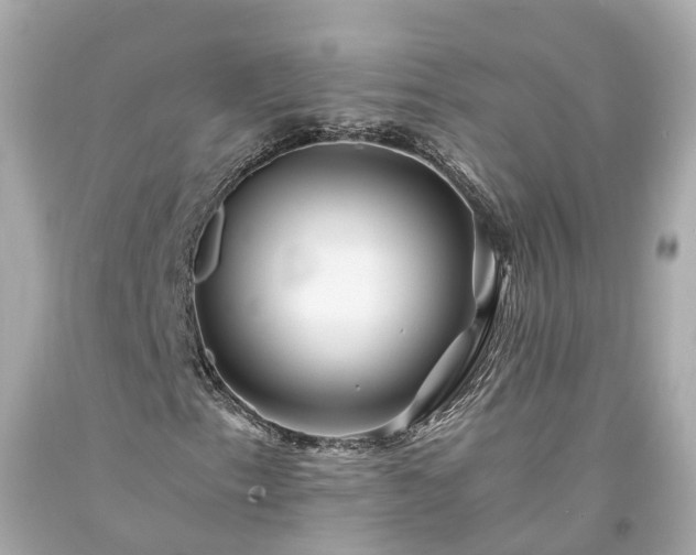 X0000094181153200711020958