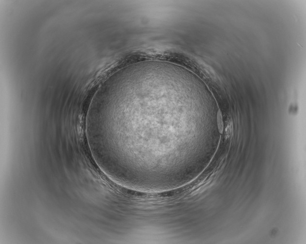 X0000094181156200711020958