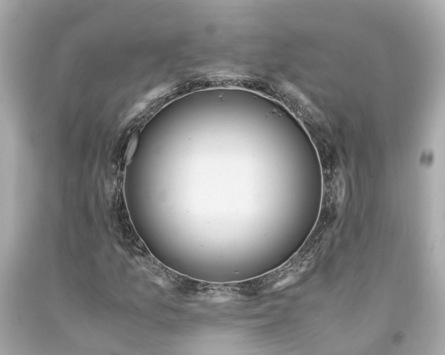 X0000094181157200711020958