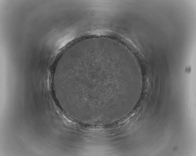 X0000094181158200711020958