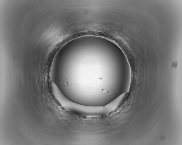 X0000094181159200711020958