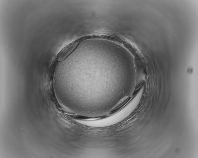 X0000094181160200711020958