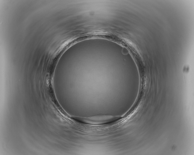 X0000094181161200711020958