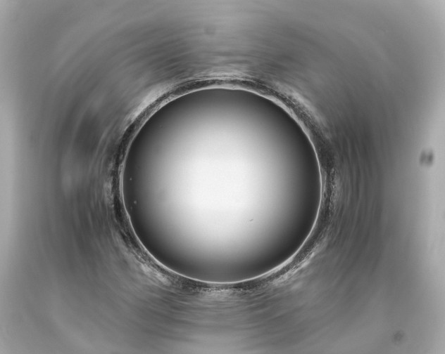 X0000094181162200711020958