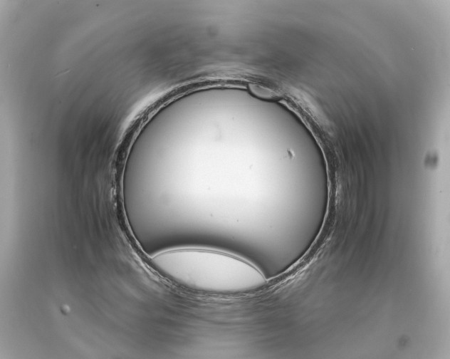 X0000094181164200711020958