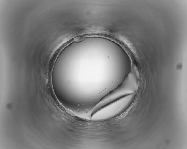 X0000094181165200711020958