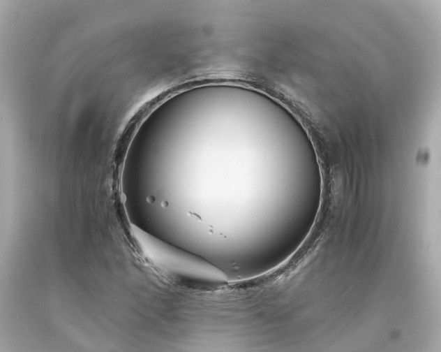 X0000094181166200711020958
