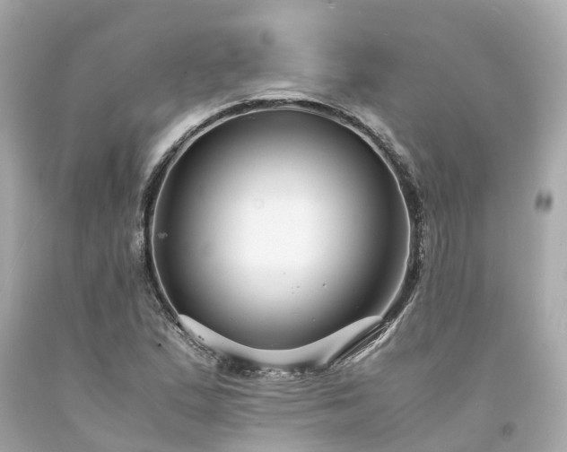 X0000094181167200711020958
