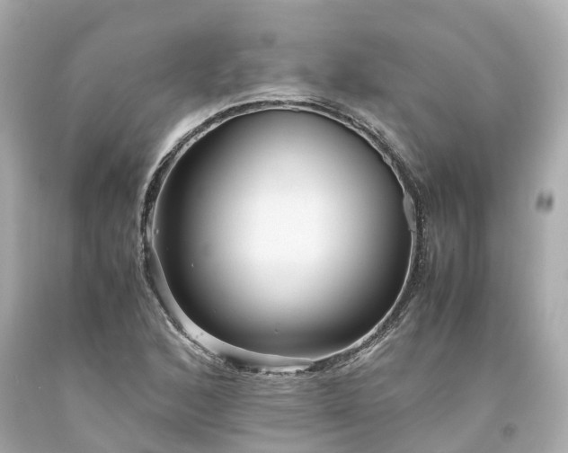 X0000094181168200711020958