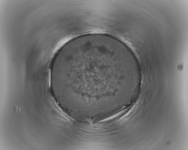 X0000094181171200711020958