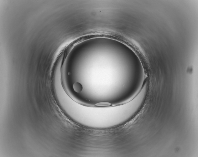 X0000094181172200711020958