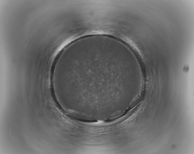 X0000094181173200711020958