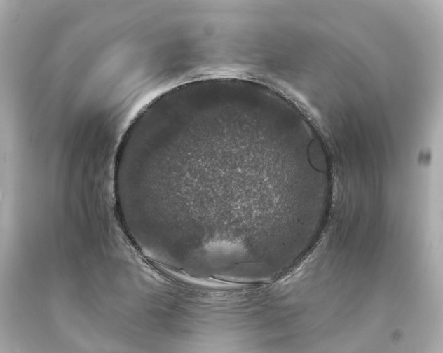 X0000094181174200711020958