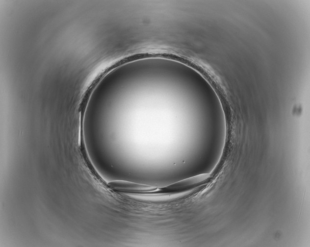 X0000094181175200711020958