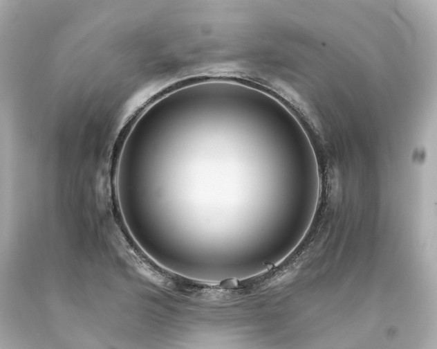 X0000094181176200711020958