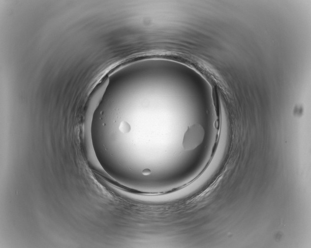 X0000094181177200711020958