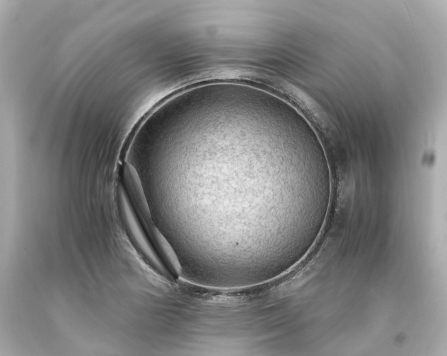 X0000094181178200711020958
