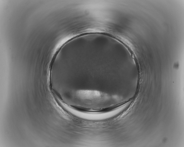 X0000094181179200711020958