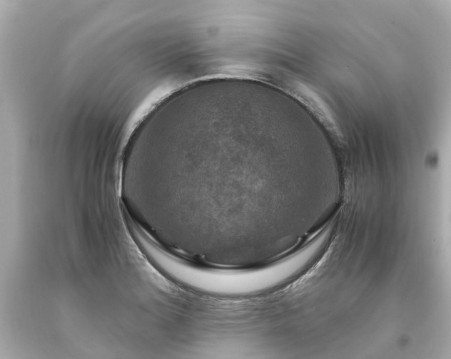 X0000094181180200711020958