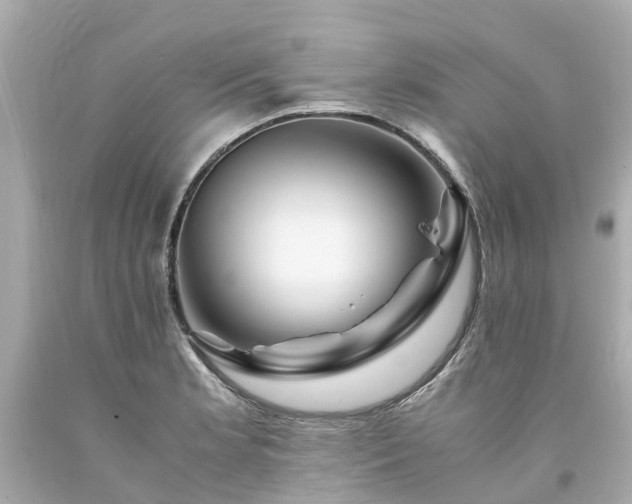 X0000094181181200711020958