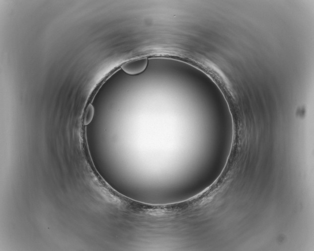 X0000094181182200711020958