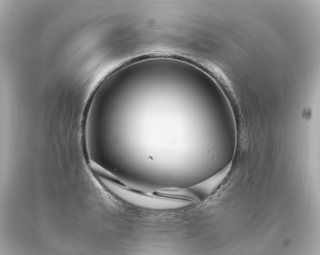 X0000094181183200711020958