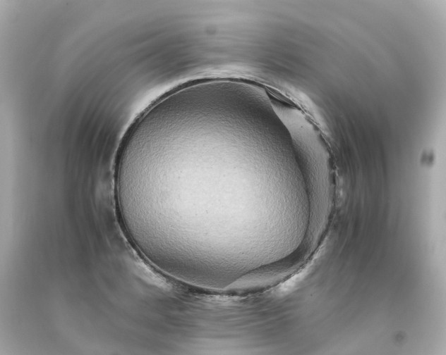 X0000094181184200711020958