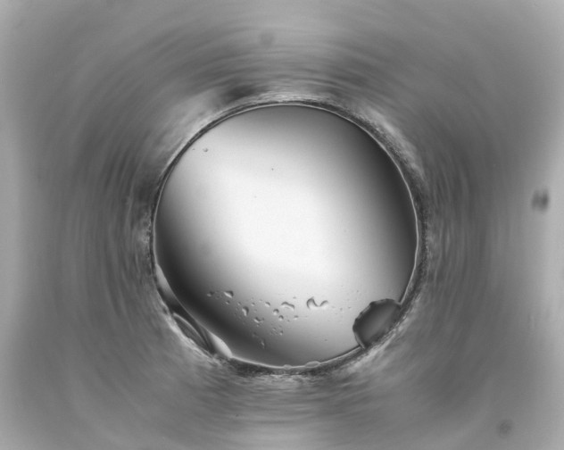X0000094181185200711020958
