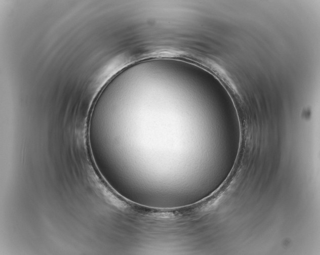 X0000094181186200711020958