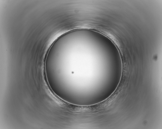 X0000094181187200711020958