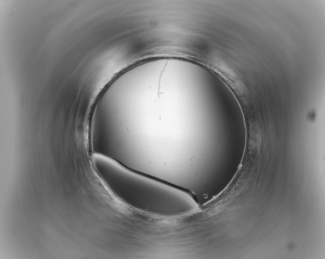 X0000094181188200711020958