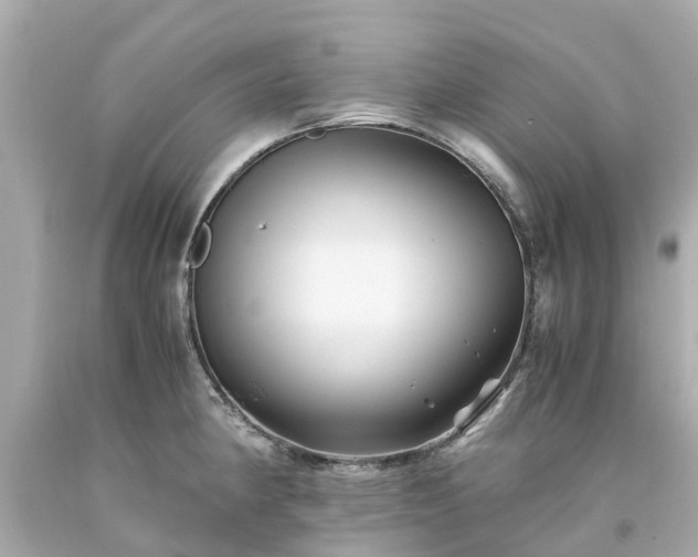 X0000094181190200711020958