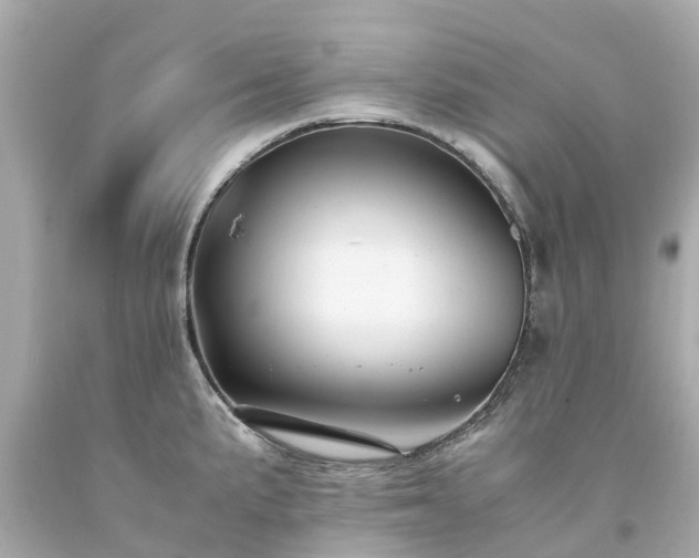 X0000094181191200711020958