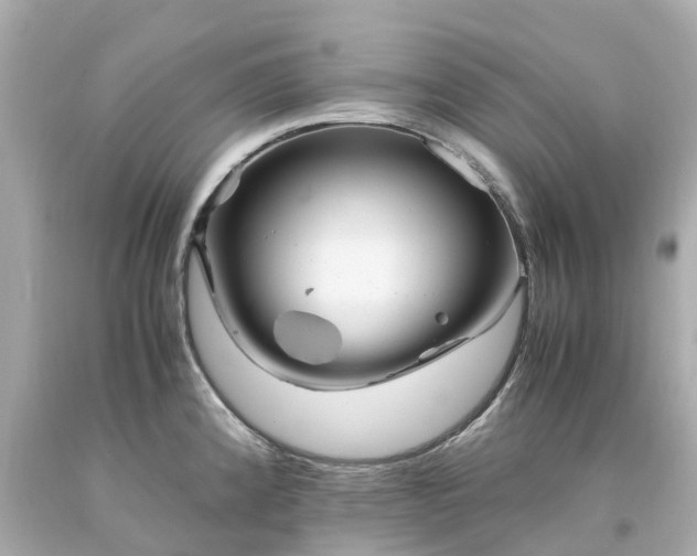 X0000094181192200711020958
