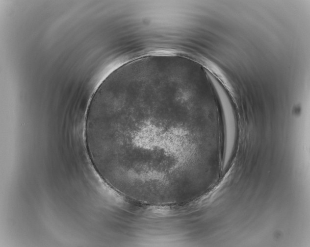 X0000094181194200711020958