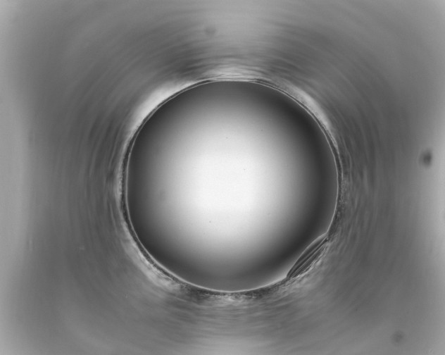 X0000094181195200711020958