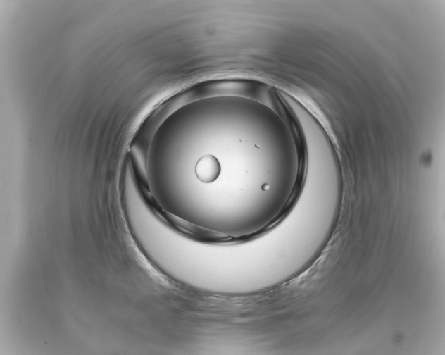X0000094181197200711020957
