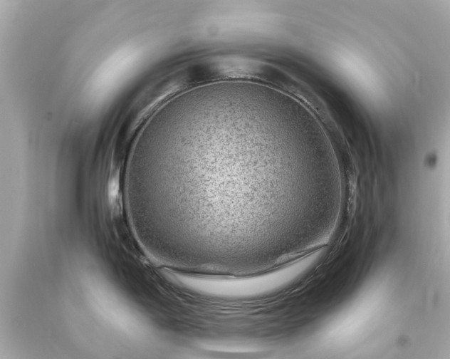 X0000094181198200711020957