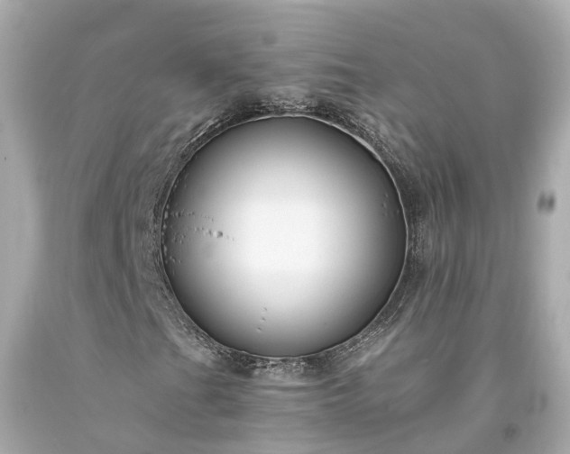 X0000094181201200711020957