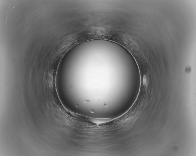X0000094181203200711020957