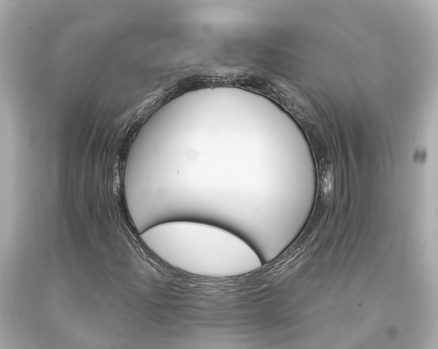 X0000094181204200711020957