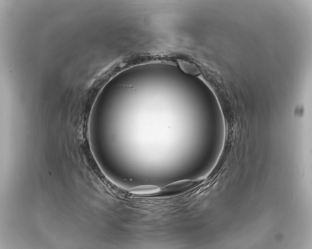 X0000094181205200711020957