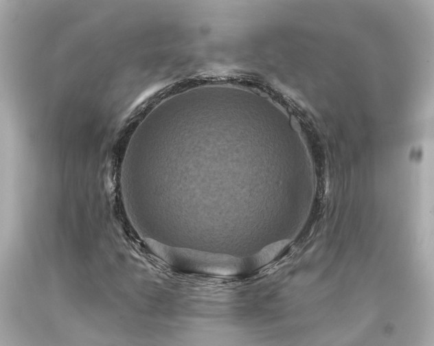 X0000094181206200711020957