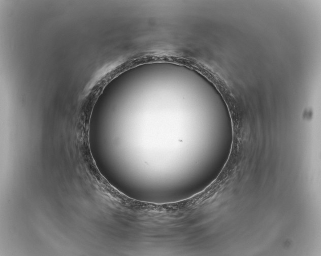 X0000094181207200711020957